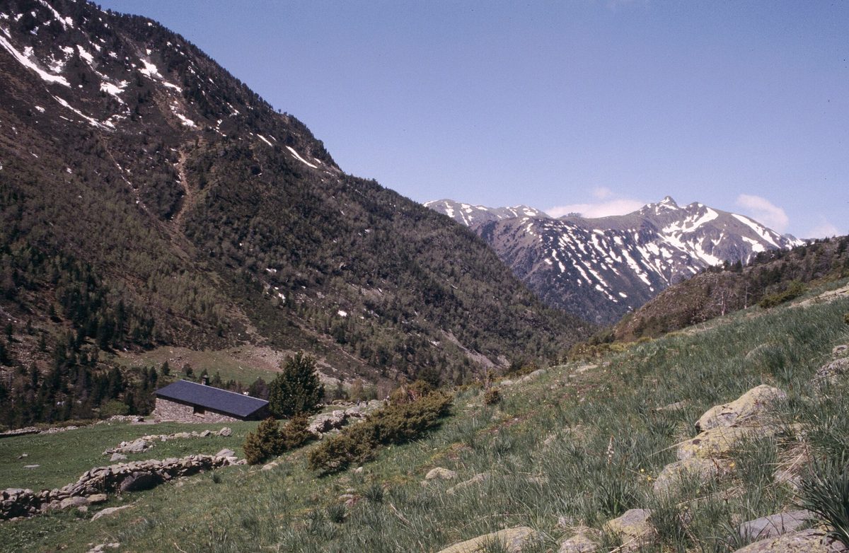Green summer meadows and a stone hut in the Vall de Sorteny nature park, Andorra