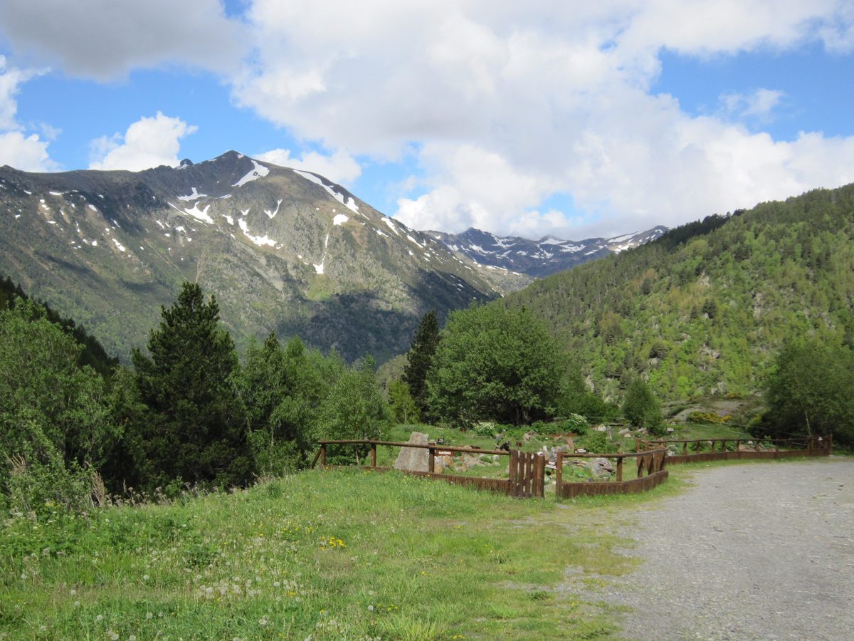 A green meadow and wildflowers below snow-streaked peaks in the Sorteny valley, Andorra, in spring