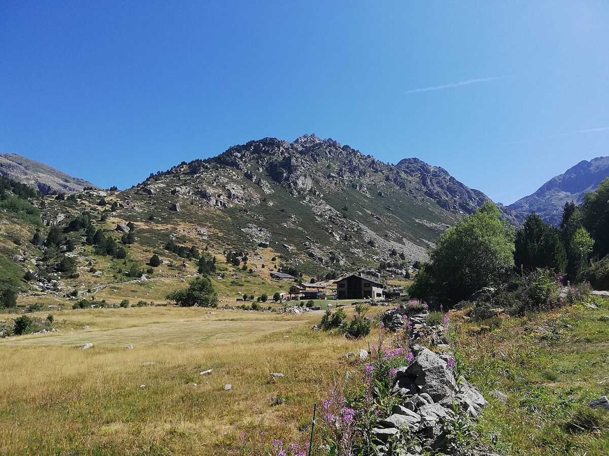 Summer in Vall d'Incles, Andorra: golden meadow and stone mountain refuge below a rocky peak, with pink wildflowers in front