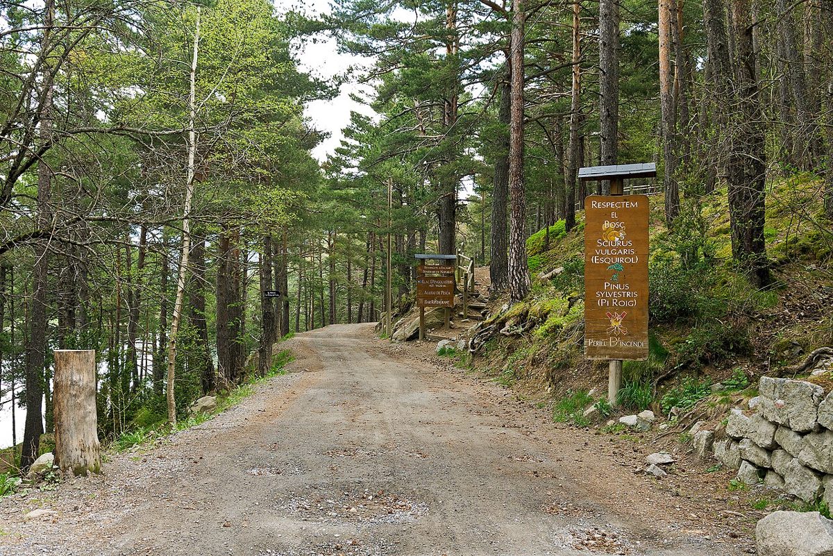 The forest track and interpretation signs at the start of the easy lakeside walk to Engolasters, Andorra