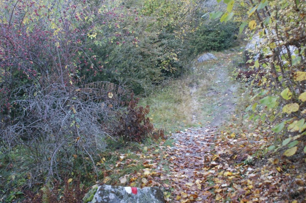 A leaf-strewn footpath with a red-and-white waymark climbing through autumn scrub in the Madriu-Perafita-Claror valley, Andorra