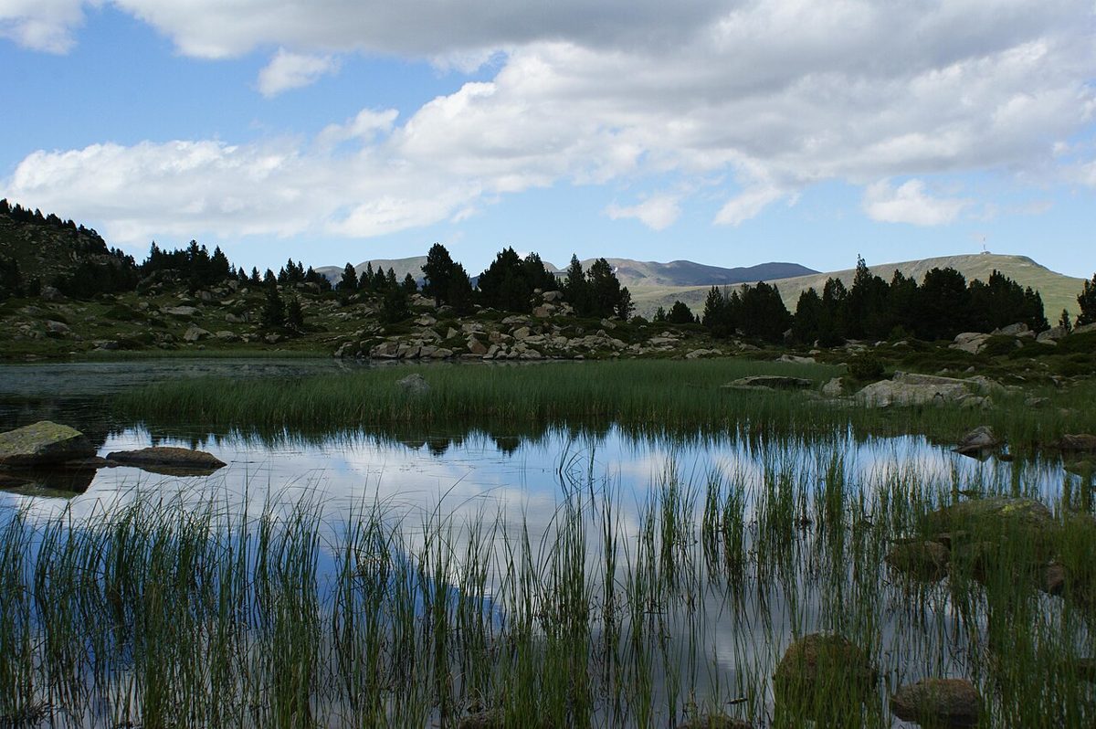 A reed-fringed lake in the Circ dels Pessons, Encamp, Andorra, mirroring clouds below pine-scattered granite slopes