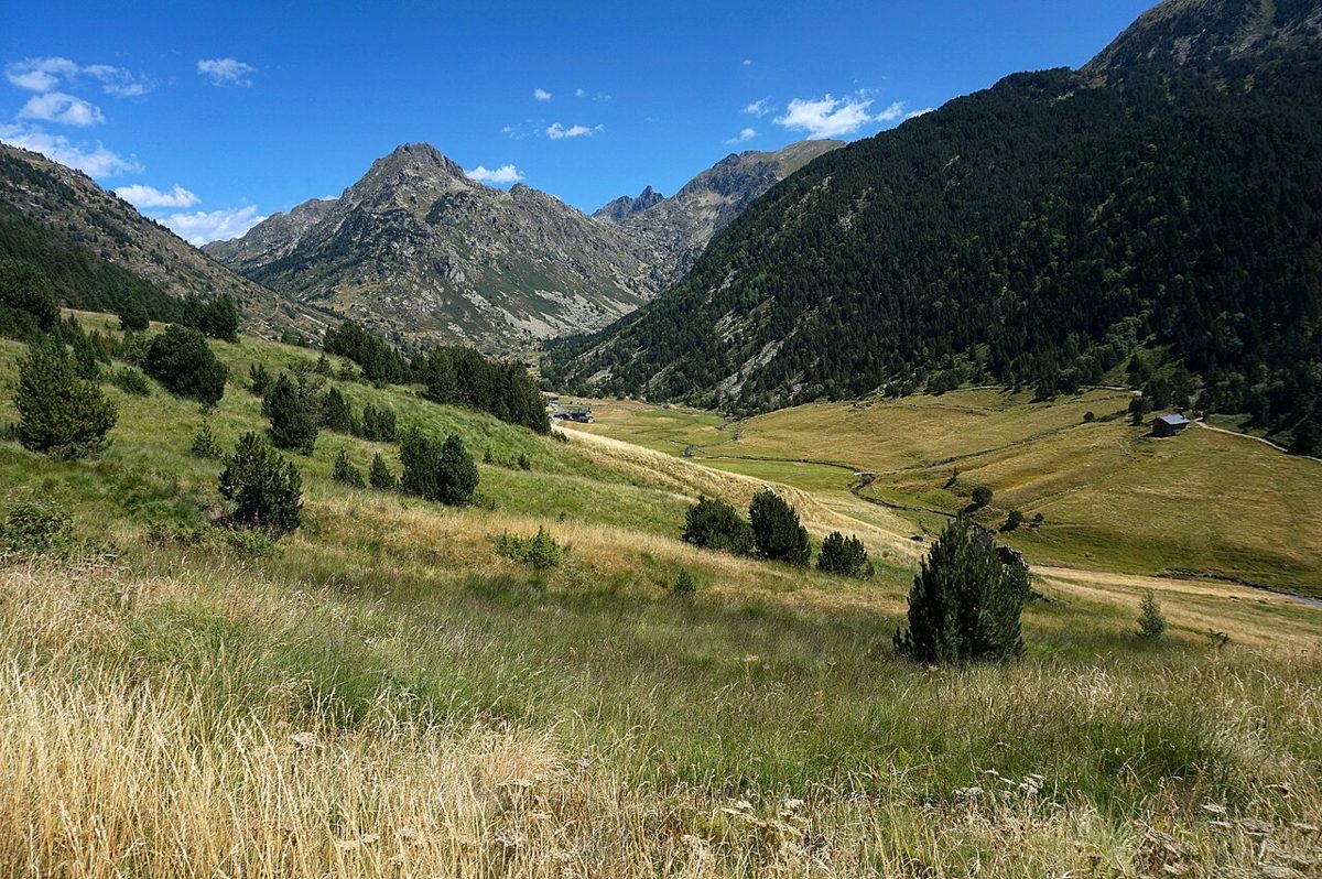 Green summer meadows sweeping down Vall d'Incles in Andorra, with scattered pines, a stone borda and jagged Pyrenean peaks